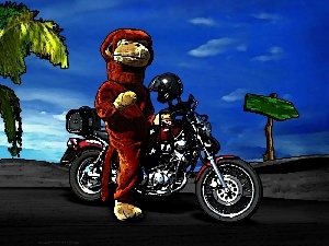 on a motorcycle, Monkey