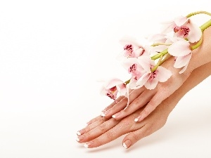 Womens, orchids, hands