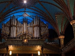 organ