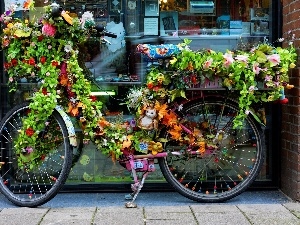 ornamentation, Bike