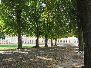 palace, Park, alley, Rogalin, chestnut