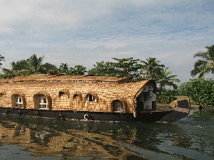 Palms, River, ark, house