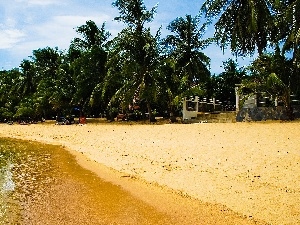 Palms, Sand, Beaches, sea