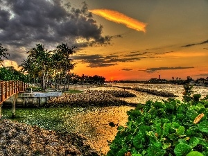 Palms, lake, west, bridges, sun