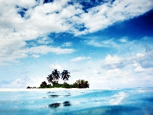 clouds, Palms, sea