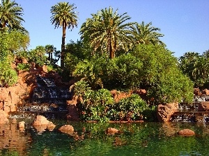 Palms, Pond - car, Garden, Cascades