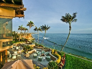 Palms, terrace, sea, Hotel hall