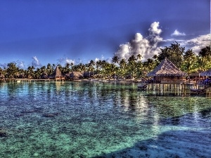 Houses, Palms, sea