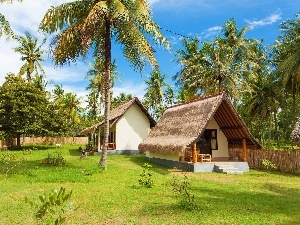 Palms, Houses