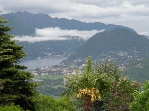 Palms, clouds, panorama, Mountains