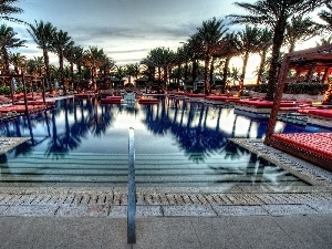 Palms, Pool