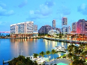 Palms, water, Great, port, buildings