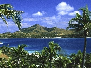 Palms, Passenger Ships, River, Mountains