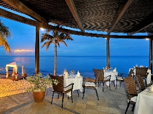 sea, Palms, Restaurant