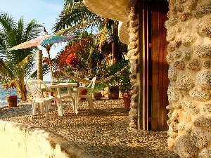 Palms, sea, terrace, View