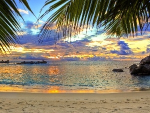 Palms, sea, west, sun