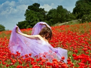 Meadow, papavers, Women