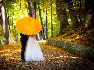 Park, Umbrella, young, autumn, Steam
