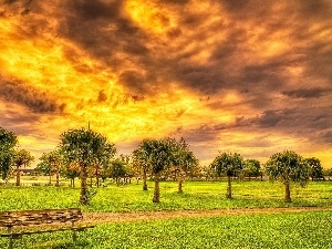 Park, Palms, west, Bench, sun