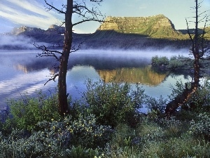 Park, lake, national, USA, Colorado, Mountains