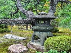 Park, Stones, trees, Japan, viewes
