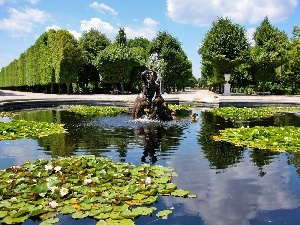 Nenufary, Park, fountain