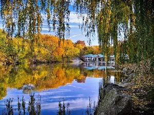 Central Park, viewes, Pond - car, New York, trees