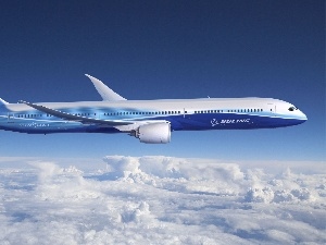 passenger, Boeing 787, plane