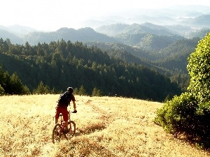 woods, Path, cyclist, Mountains, car in the meadow