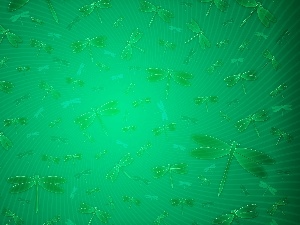 pattern, dragon-fly, Green