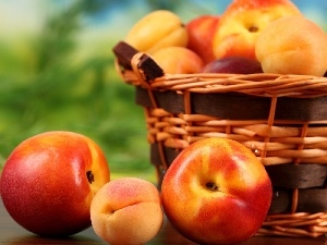 nectarines, peaches, basket