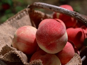 robust, peaches, basket