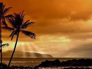 peaks, Palms, west, Mountains, sun