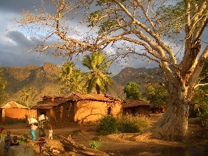 People, trees, Mountains, Tanzania, village