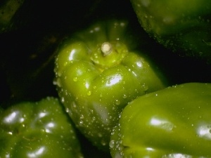 Green, pepper, WET