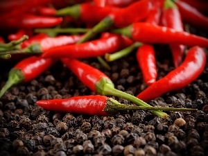 pepper, Chilli, Hot, pepper