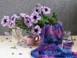 petunias, Flowers