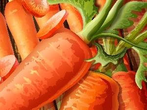 carrot, picture, vegetables