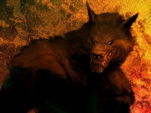 picture, rage, werewolf, beast