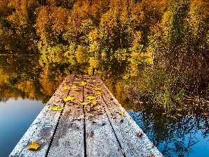 pier, lake, trees, Leaf, viewes