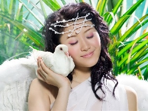 pigeon, aloe, girl, make-up