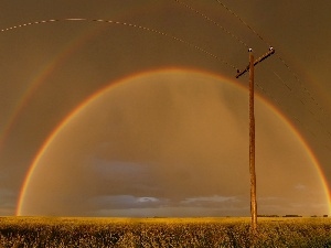 pile, Great Rainbows, Field