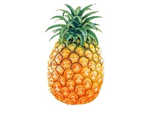pineapple, fruit