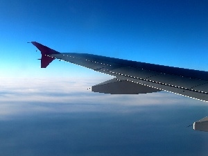wing, plane, Sky