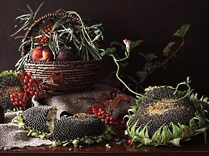 Plant, Nice sunflowers, basket