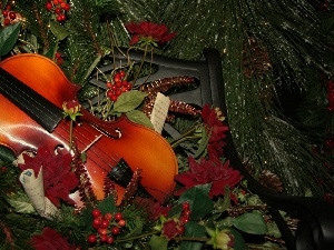 Tunes, Plant, violin