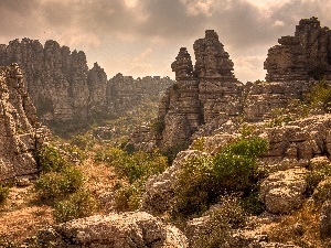 clouds, Plants, canyon