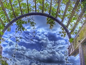 Plants, clouds