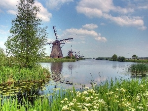 River, Plants, Windmills