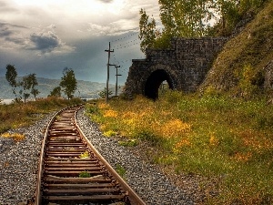 Plants, tunnel, track, railway